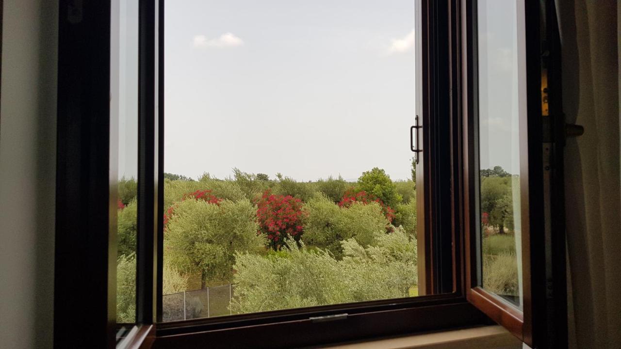 Il Casale Degli Ulivi - Agriturismo - Tenimenti Leone Lanuvio Экстерьер фото