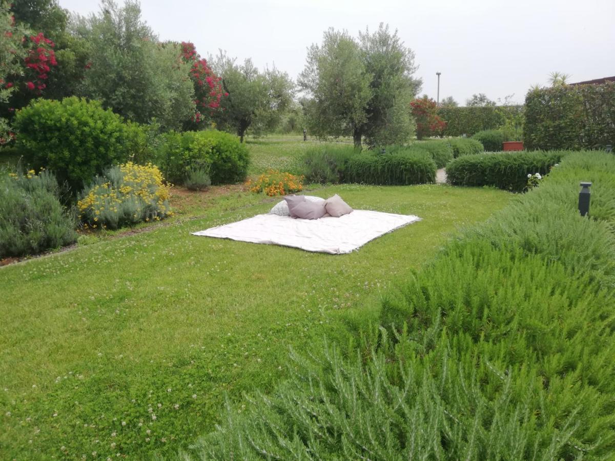 Il Casale Degli Ulivi - Agriturismo - Tenimenti Leone Lanuvio Экстерьер фото