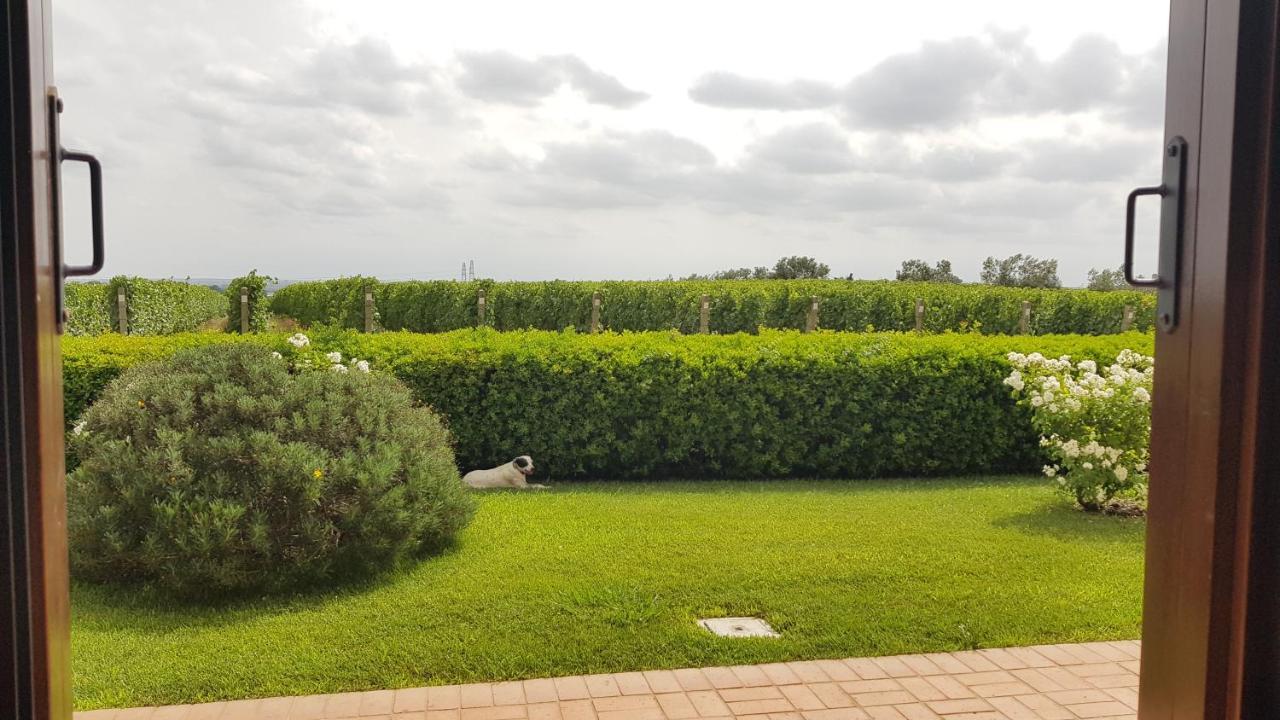 Il Casale Degli Ulivi - Agriturismo - Tenimenti Leone Lanuvio Экстерьер фото