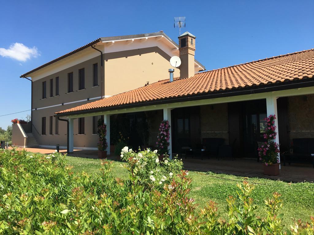 Il Casale Degli Ulivi - Agriturismo - Tenimenti Leone Lanuvio Экстерьер фото