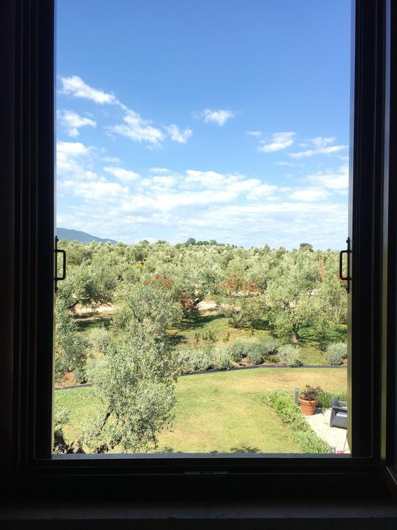 Il Casale Degli Ulivi - Agriturismo - Tenimenti Leone Lanuvio Экстерьер фото