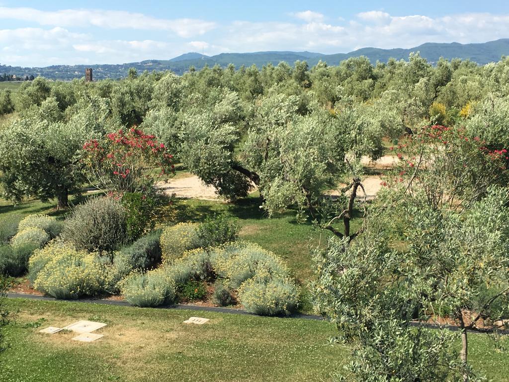 Il Casale Degli Ulivi - Agriturismo - Tenimenti Leone Lanuvio Экстерьер фото