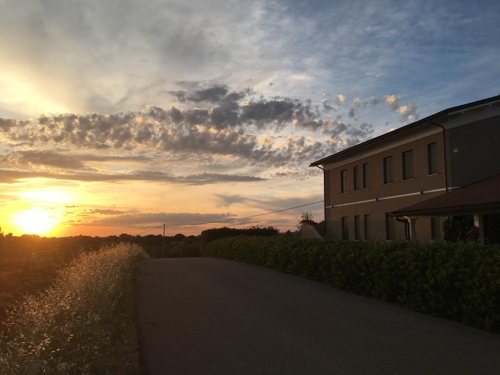 Il Casale Degli Ulivi - Agriturismo - Tenimenti Leone Lanuvio Экстерьер фото