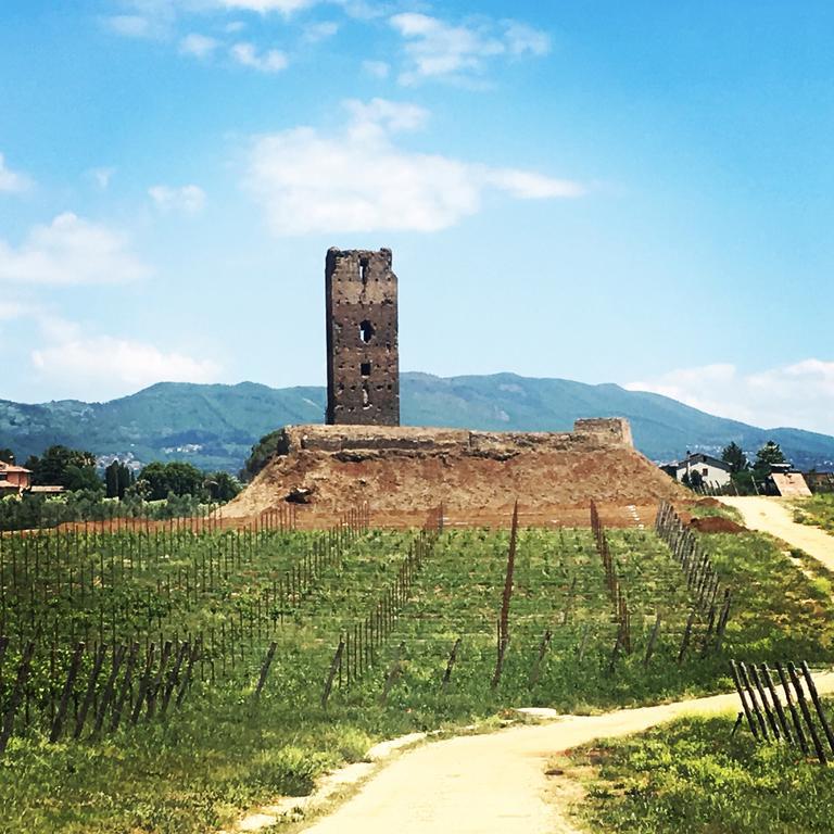 Il Casale Degli Ulivi - Agriturismo - Tenimenti Leone Lanuvio Экстерьер фото