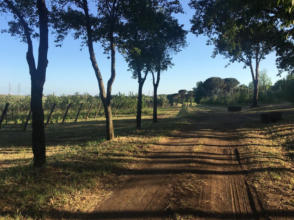 Il Casale Degli Ulivi - Agriturismo - Tenimenti Leone Lanuvio Экстерьер фото