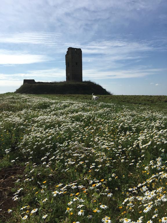 Il Casale Degli Ulivi - Agriturismo - Tenimenti Leone Lanuvio Экстерьер фото