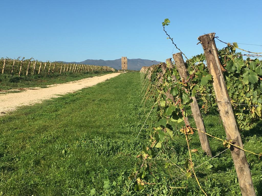 Il Casale Degli Ulivi - Agriturismo - Tenimenti Leone Lanuvio Экстерьер фото