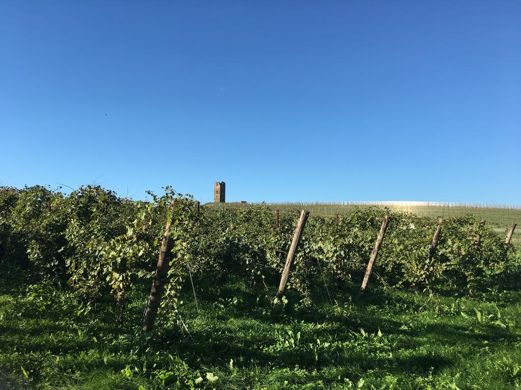 Il Casale Degli Ulivi - Agriturismo - Tenimenti Leone Lanuvio Экстерьер фото