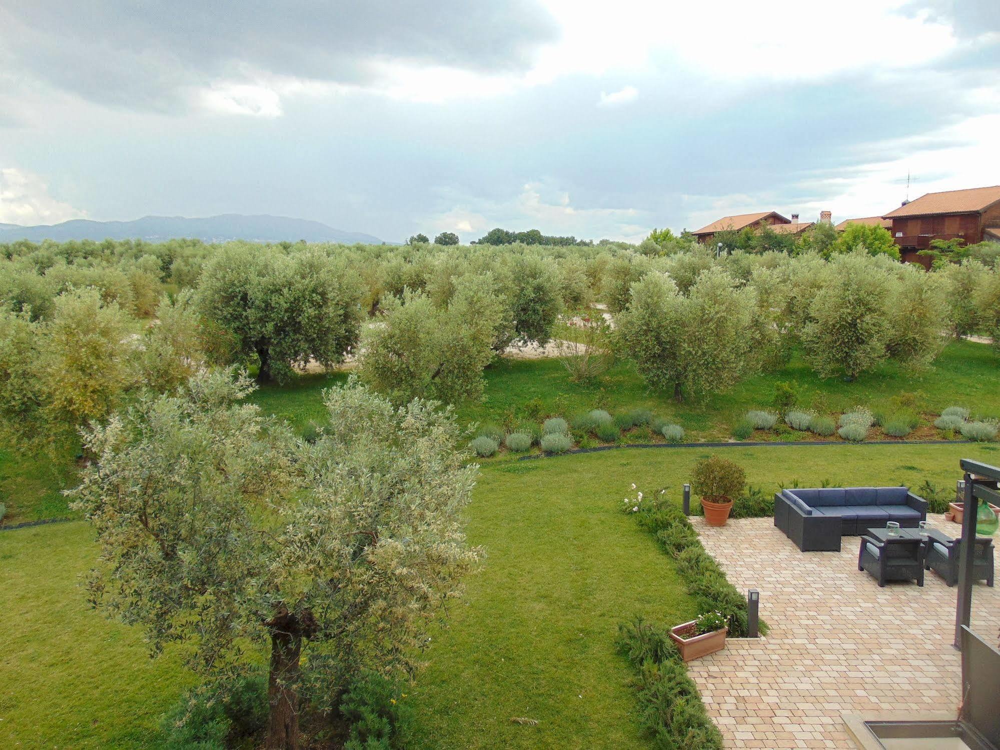 Il Casale Degli Ulivi - Agriturismo - Tenimenti Leone Lanuvio Экстерьер фото